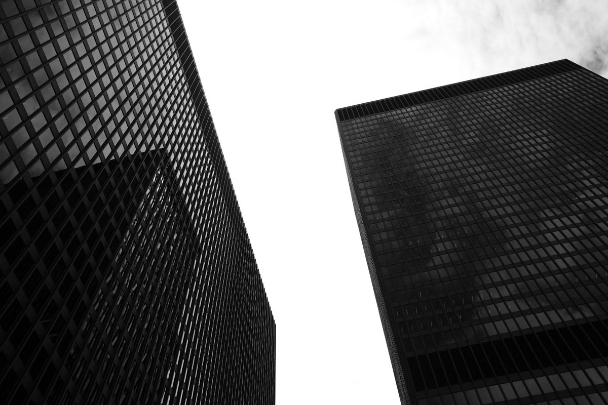 mies_web